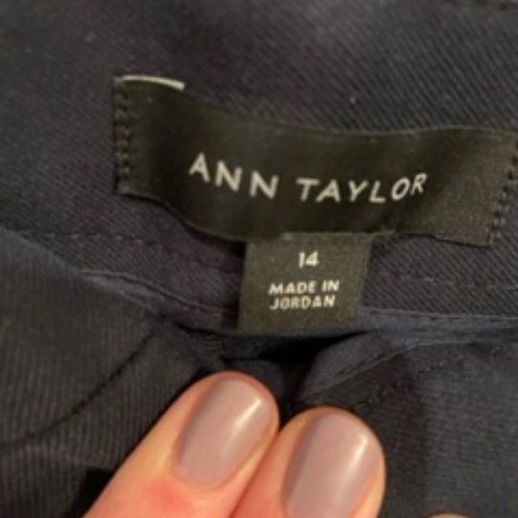 Ann Taylor Marina Pants in 14, Navy Cotton - Picture 2 of 3